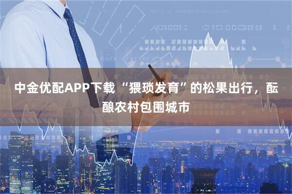 中金优配APP下载 “猥琐发育”的松果出行，酝酿农村包围城市