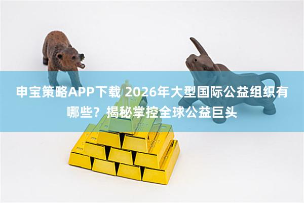 申宝策略APP下载 2026年大型国际公益组织有哪些？揭秘掌控全球公益巨头
